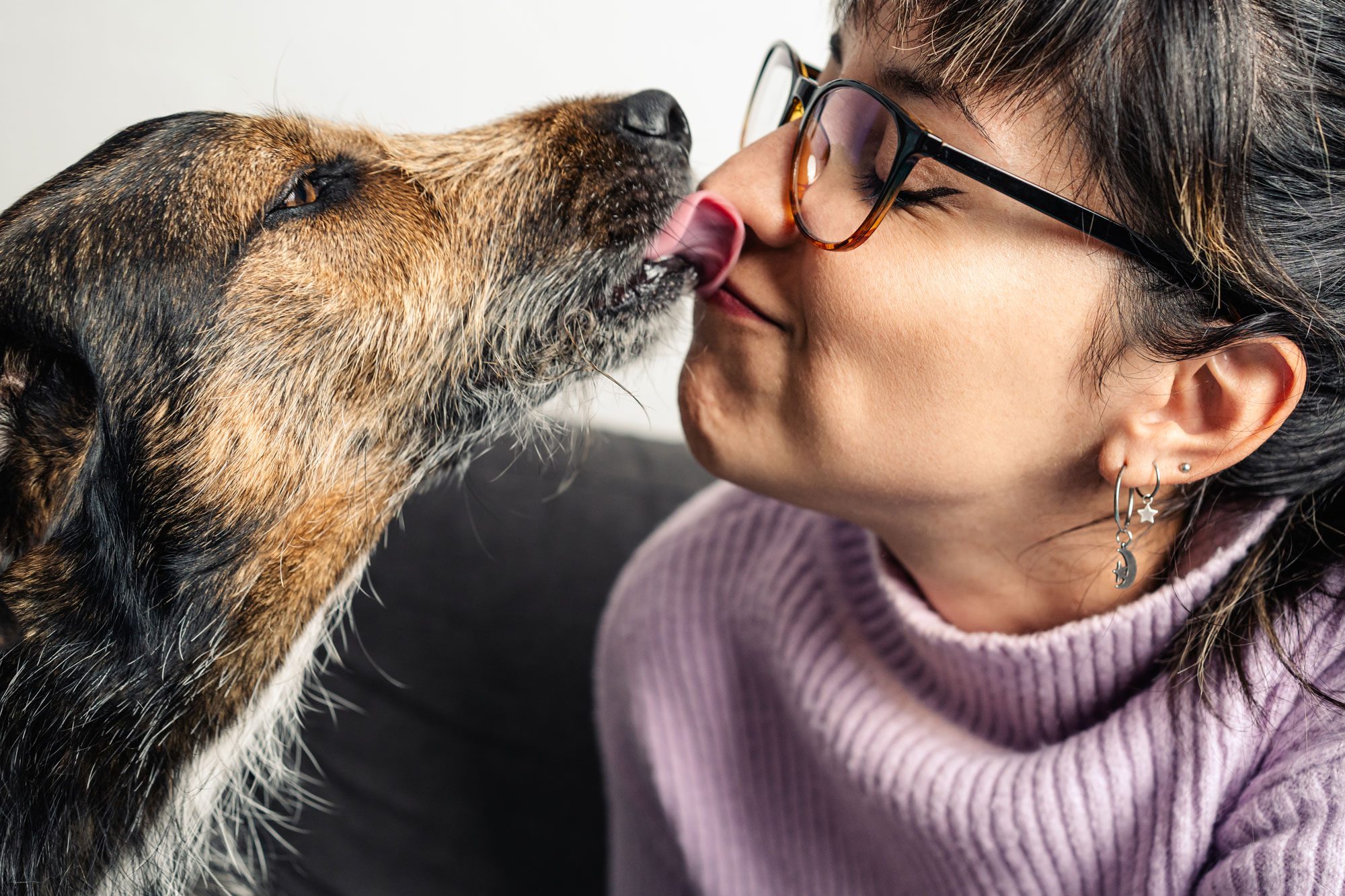 Why Do Dogs Lick You? 4 Reasons a Dog May Lick You