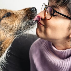 dog kissing and licking a girl in the face