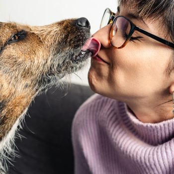 dog kissing and licking a girl in the face