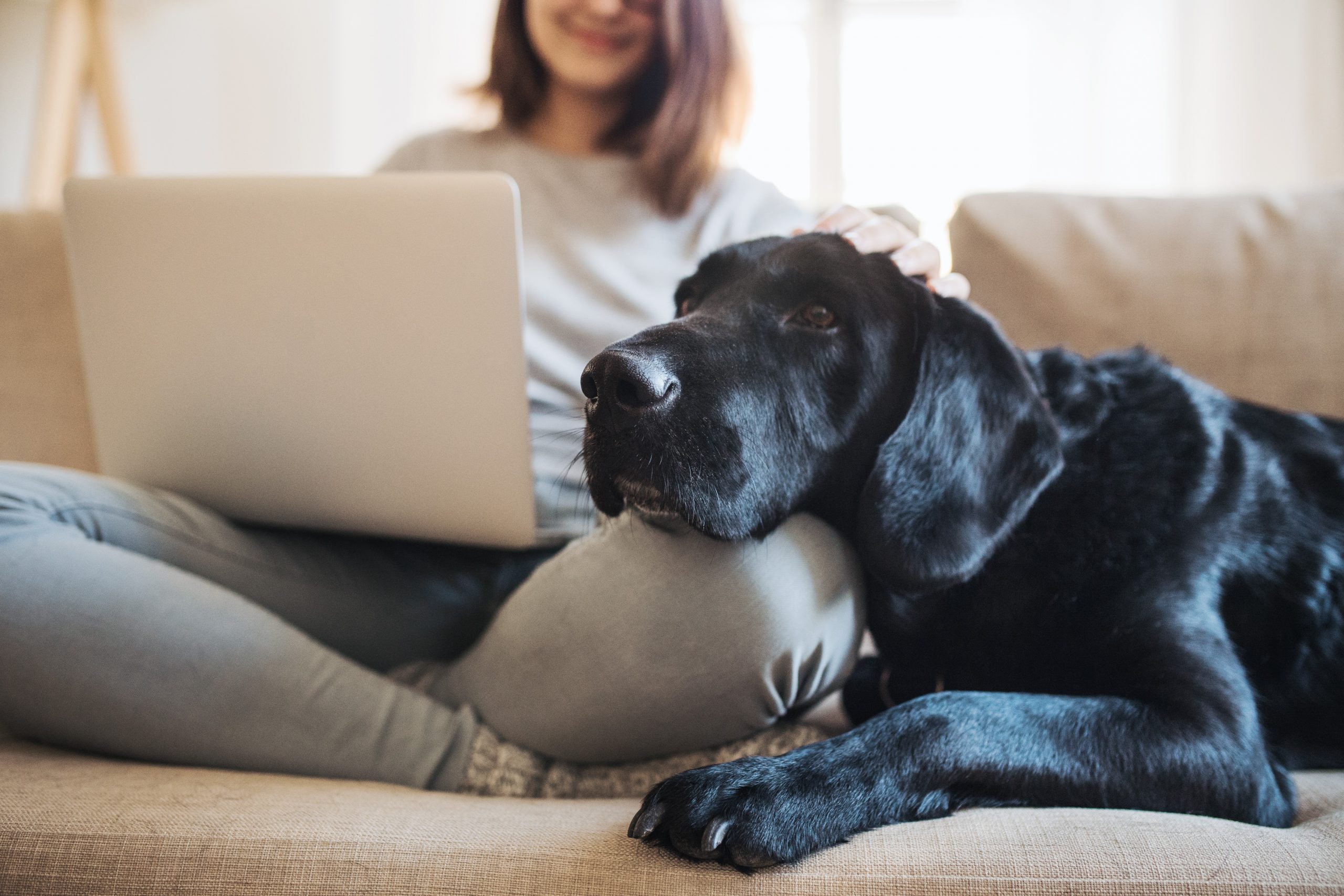 a dog and a woman sit on the couch together in an apartment