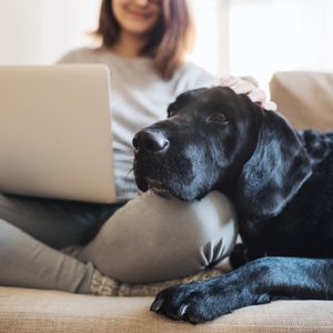 a dog and a woman sit on the couch together in an apartment