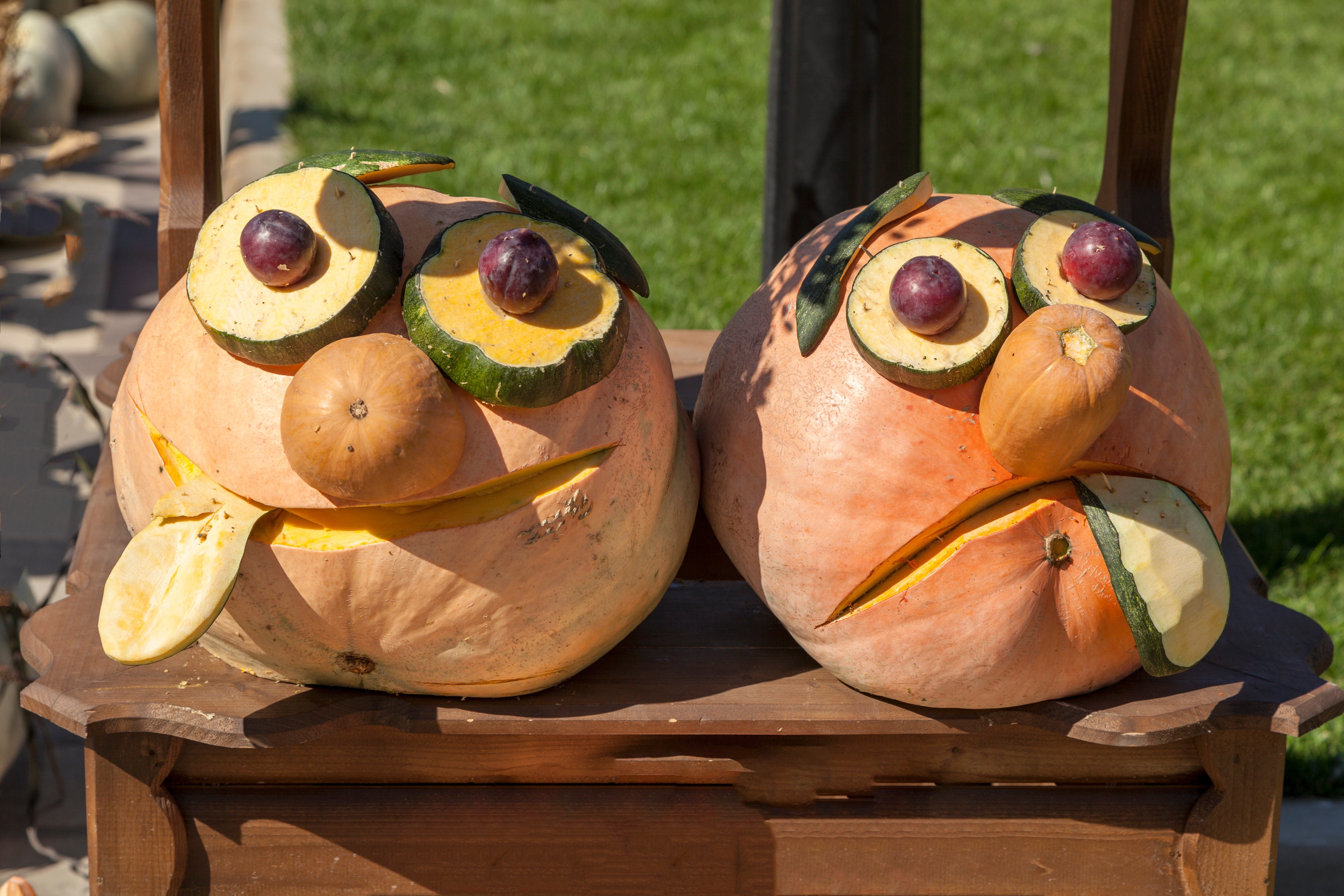 golden autumn, large different pumpkins, Different varieties of pumpkins, a wooden cart with pumpkins,Funny crafts made of pumpkins,