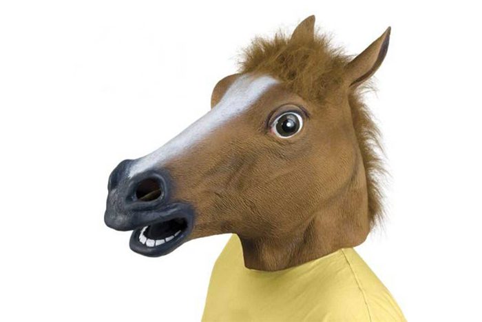 horse head mask