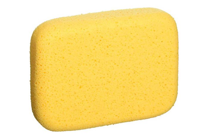 yellow sponge