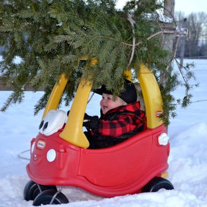 funny christmas photo