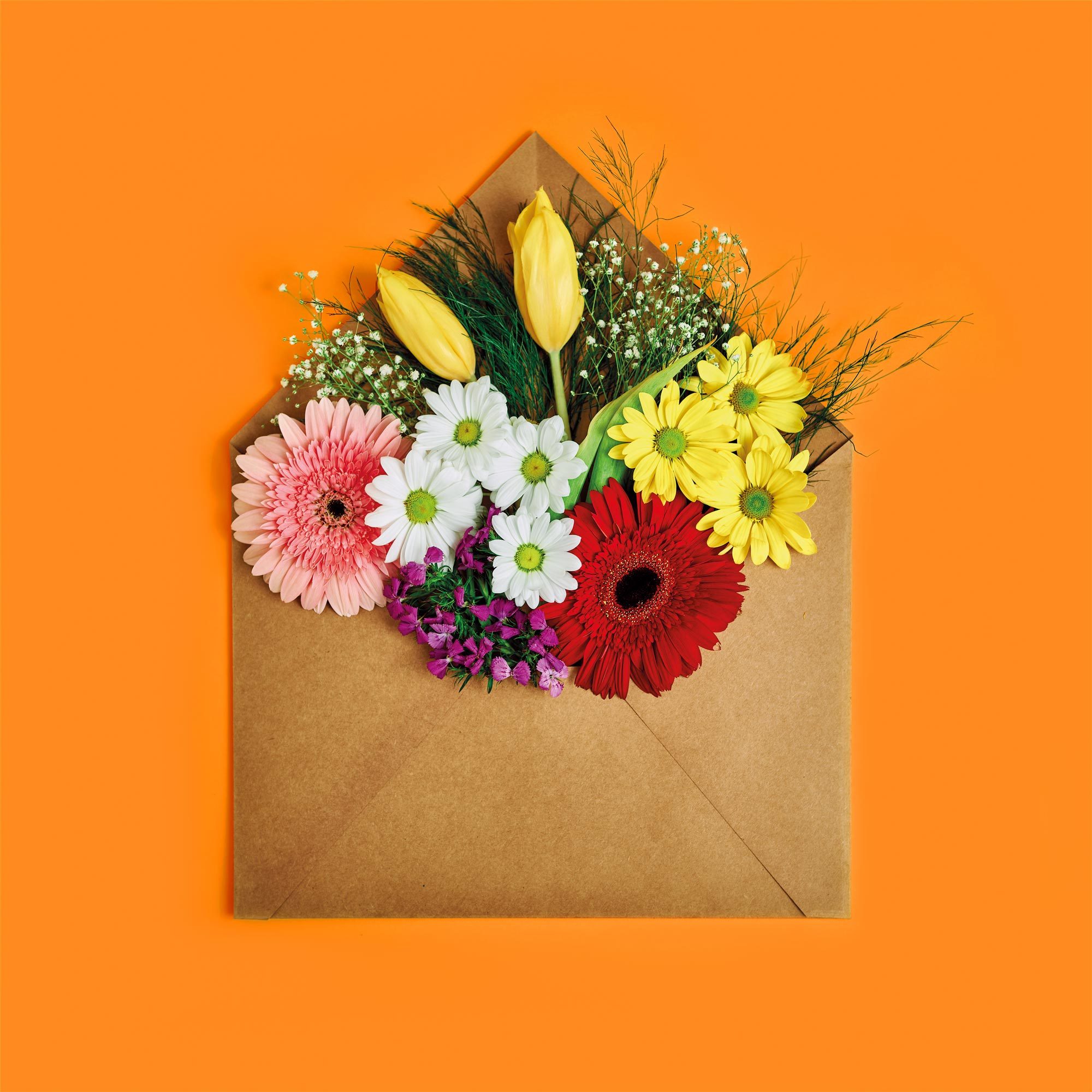 flowers coming out of a craft-paper envelope on orange background
