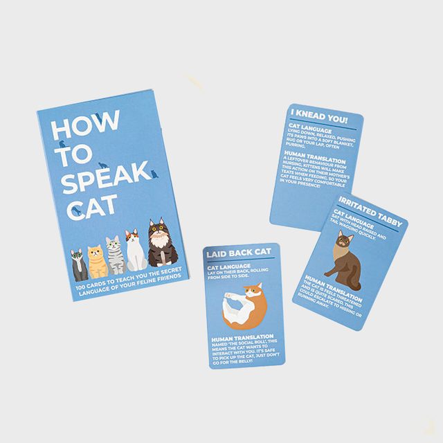 How To Speak Cat Cards