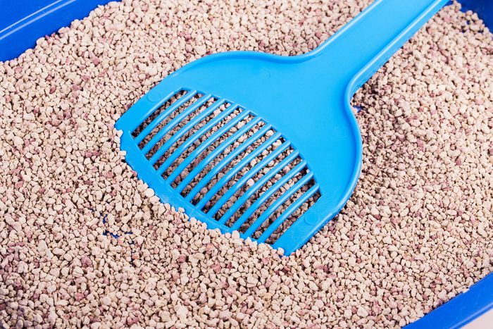 cat tray filler isolated on white background