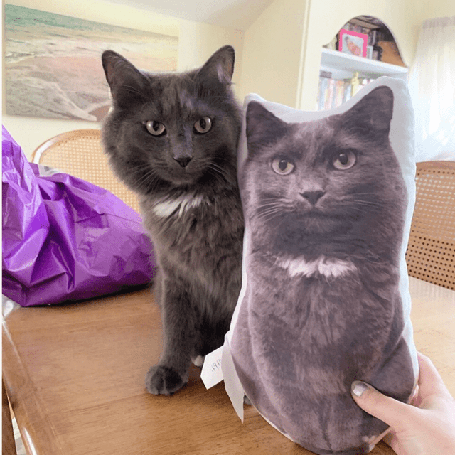 Petsies Create Your Own Pet Pillow