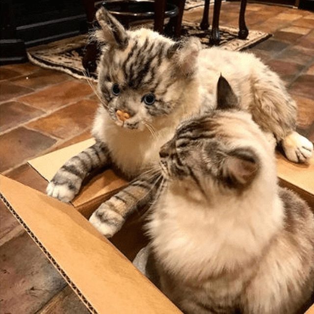 Petsies Custom Stuffed Animal