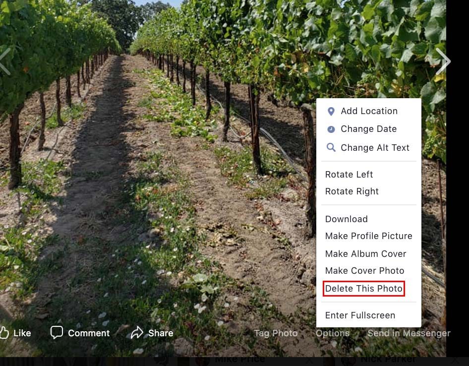 Facebook "Delete This Photo" Screenshot