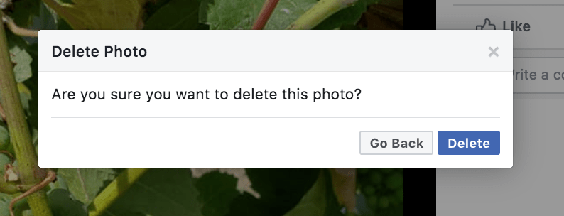 Delete Facebook Photo Screenshot