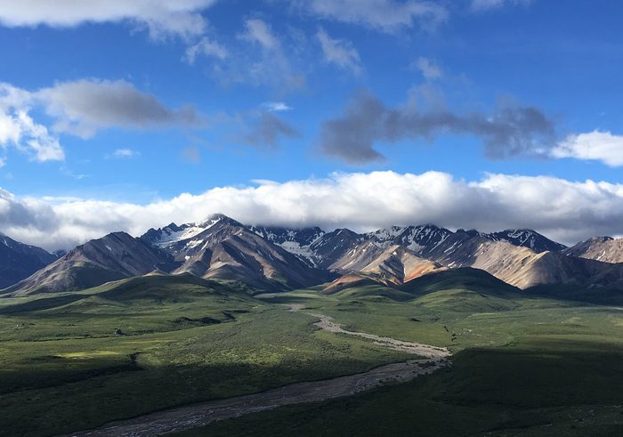 Denali Backcountry Adventure