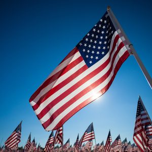 A display of many American flags with a sky blue background, commemorating 9/11, memorial day, or veterans day