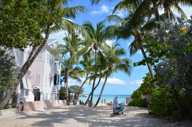 Key West - Dog beach