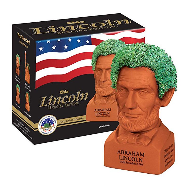 chia pet lincoln