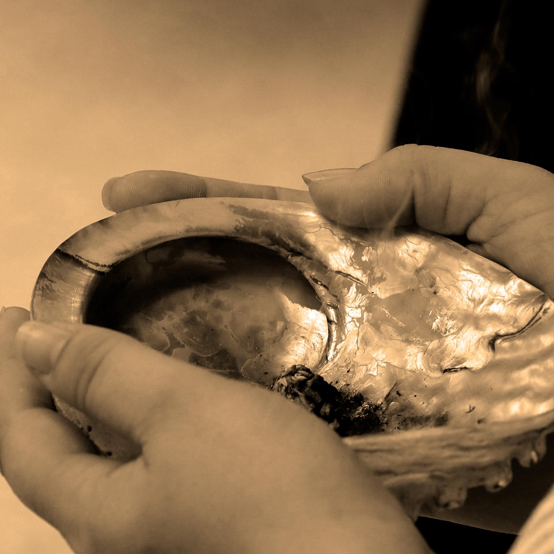 close up hands holding a smudging bowl