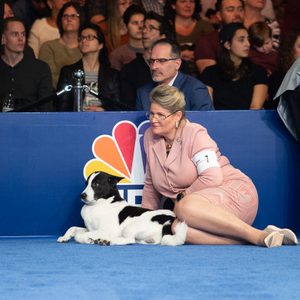 national dog show purina