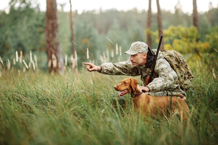 Hunter with Rifle and Dog in forest