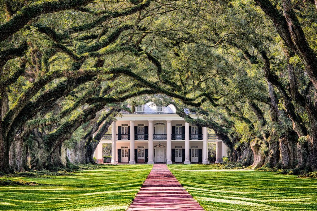 oak alley plantation