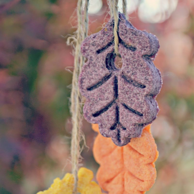 Salt Dough Leaves Craft