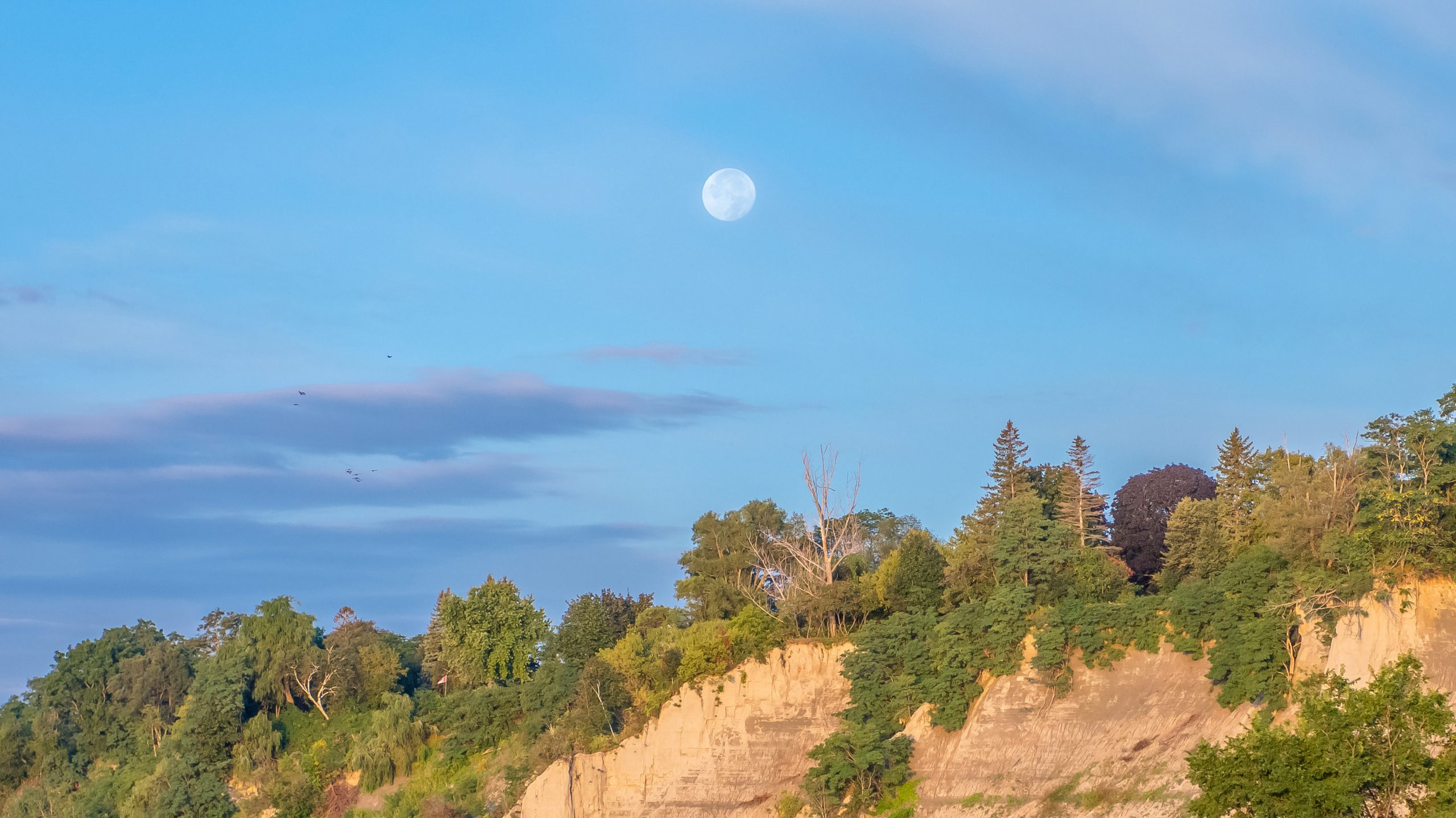 Here’s Why You Can Sometimes See the Moon During the Day