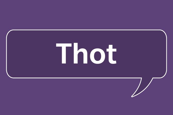 slang words thot