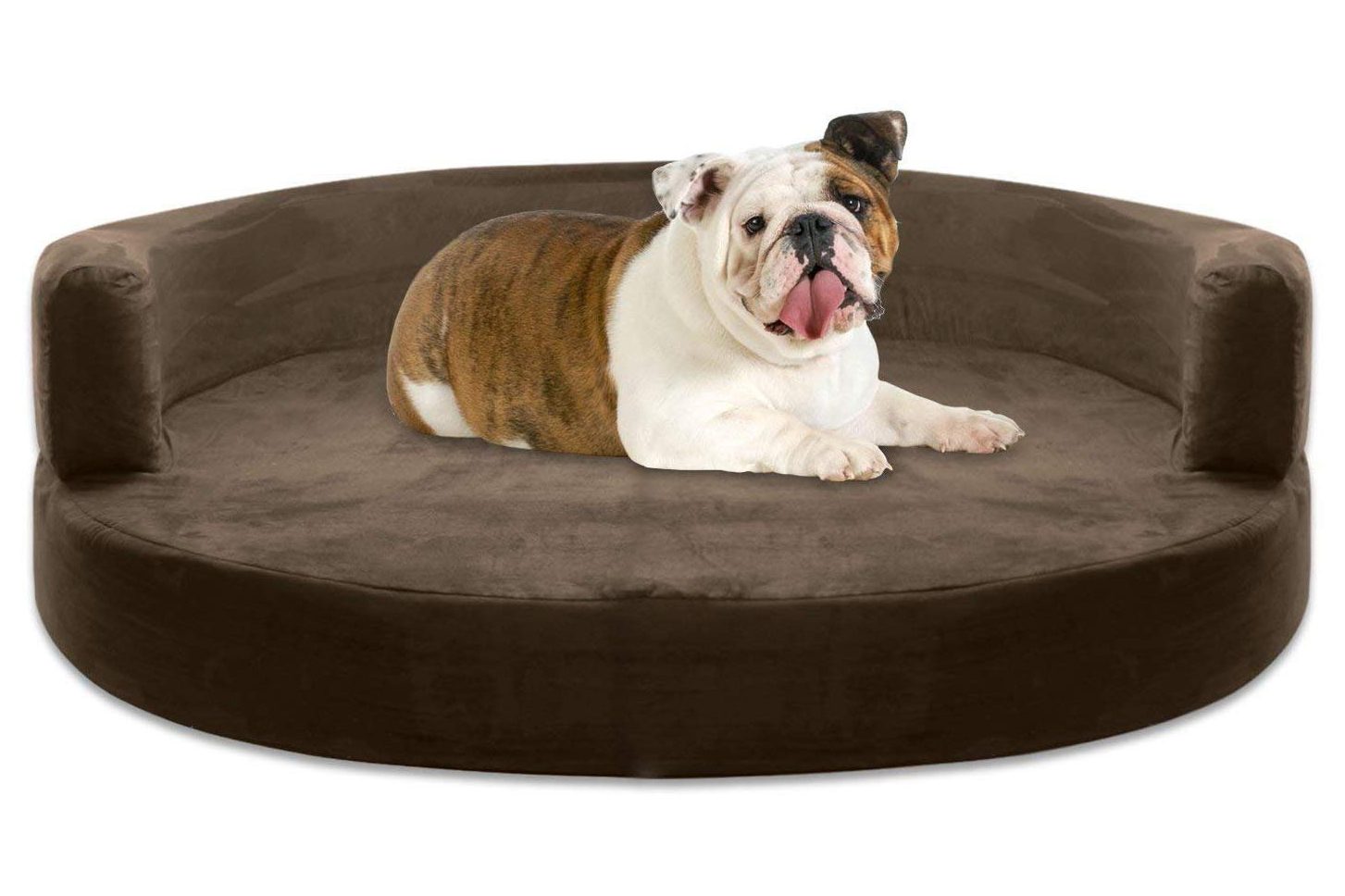 dog bed