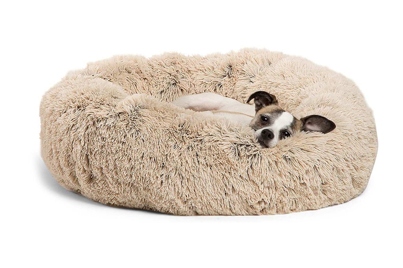 dog bed