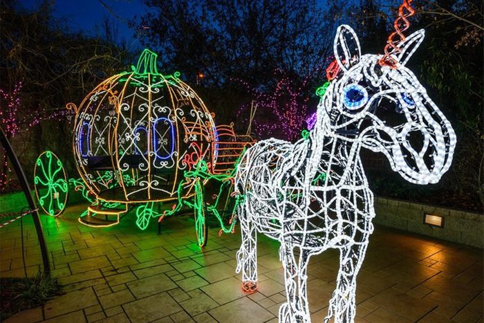 Abq Biopark Botanical Garden Christmas Lights