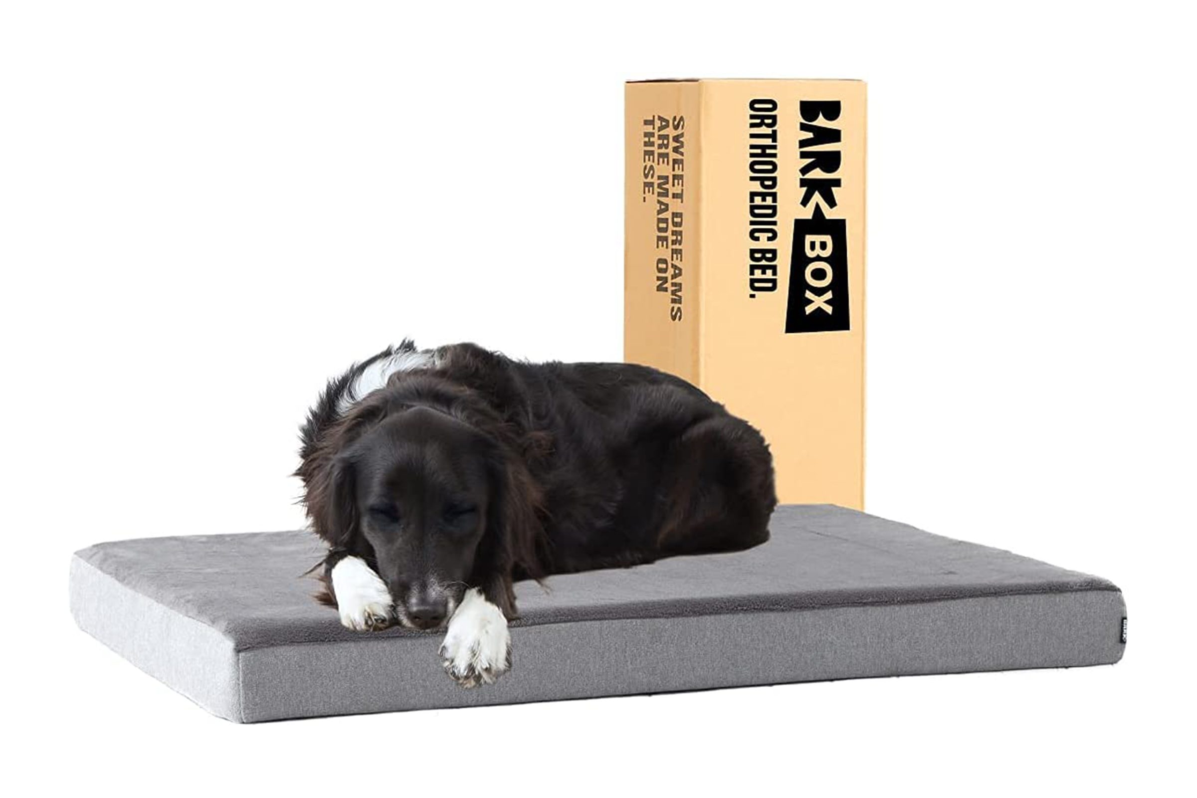 Barkbox Memory Foam Bed