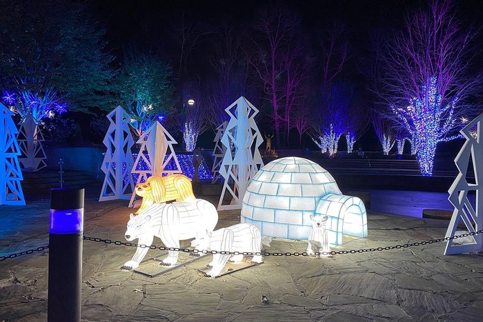 North Carolina Arboretum Christmas Lights