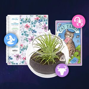 Zodiac gifts