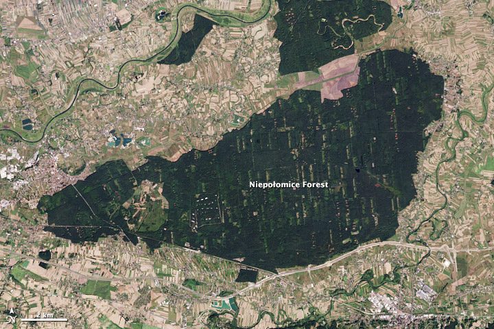 royal forest nasa from space