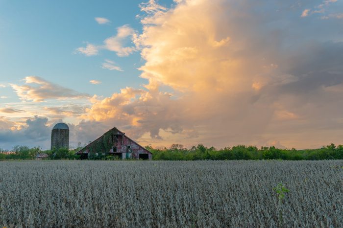 This is an abandoned bard in a soybean field in Tennessee at sunset. The clouds are just starting to catch a little color from the sunset.