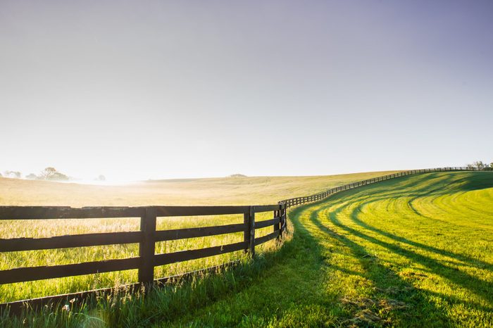 Horse Fence Snakes its Way Over the Hill in rural Kentucky