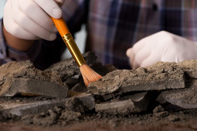 Archeologist working late night in office