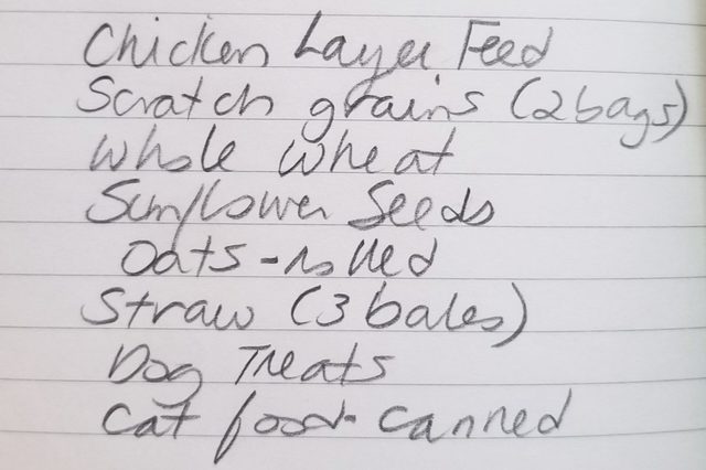 handwriting so neat it could be a font