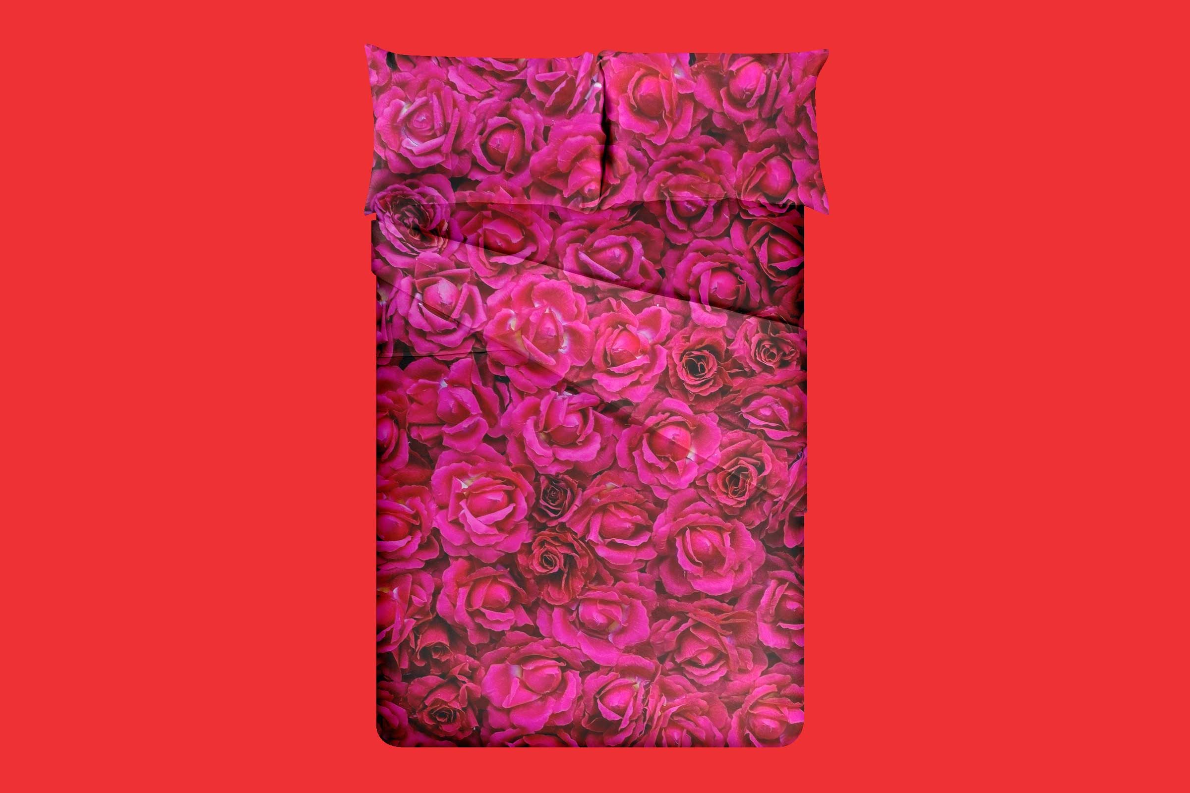 bed of roses idiom