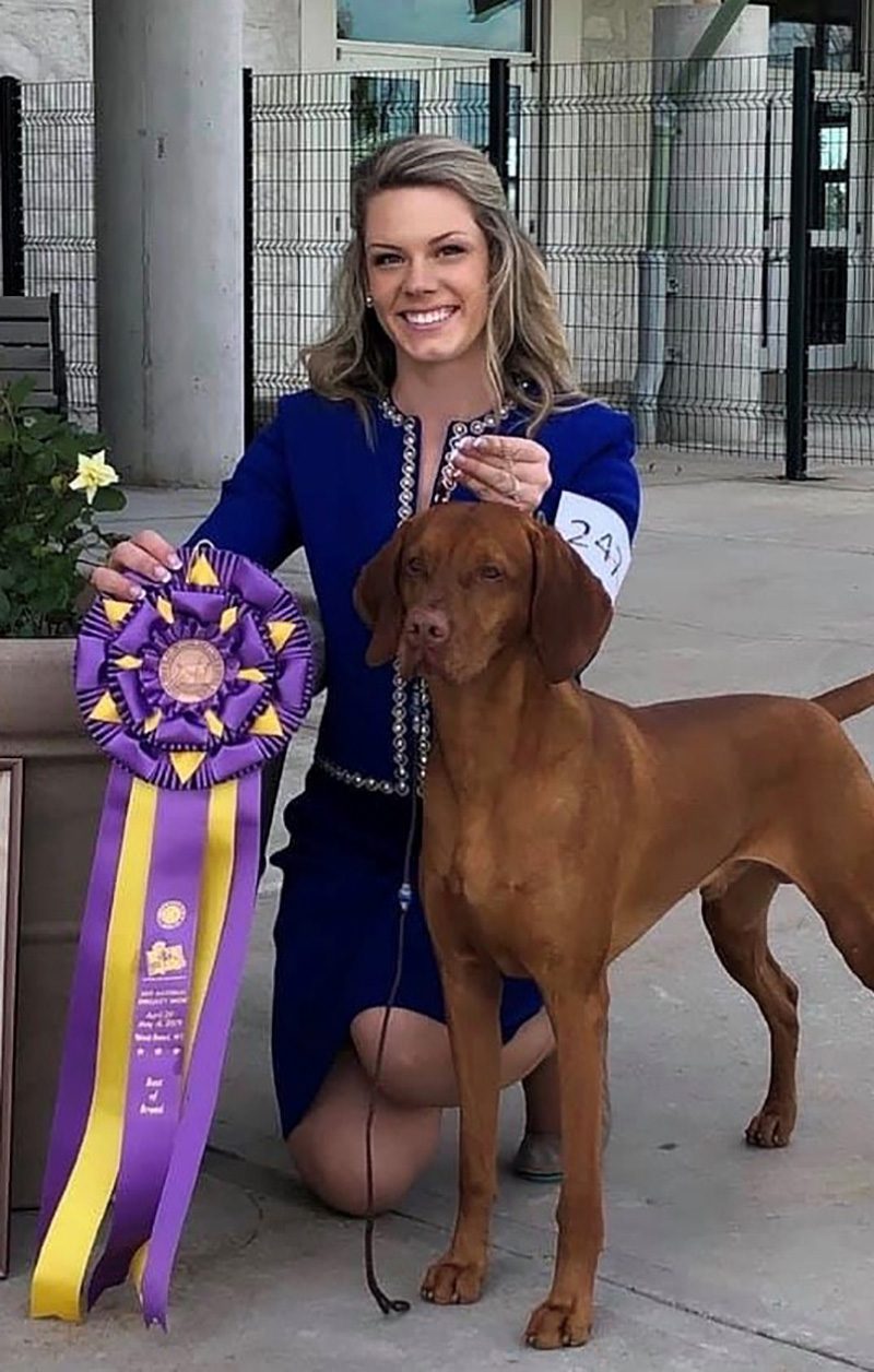 boomer dog winner westminster dog show