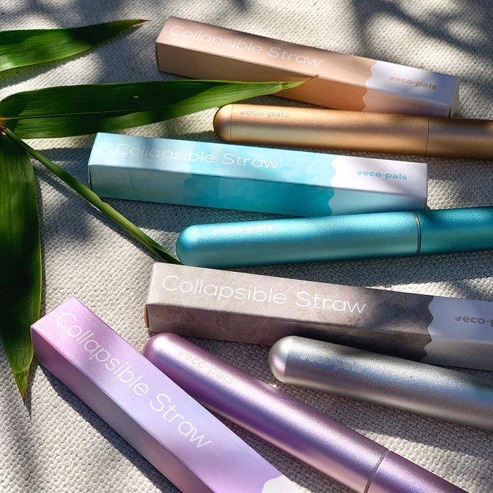 Eco Pals Collapsible Travel Straw