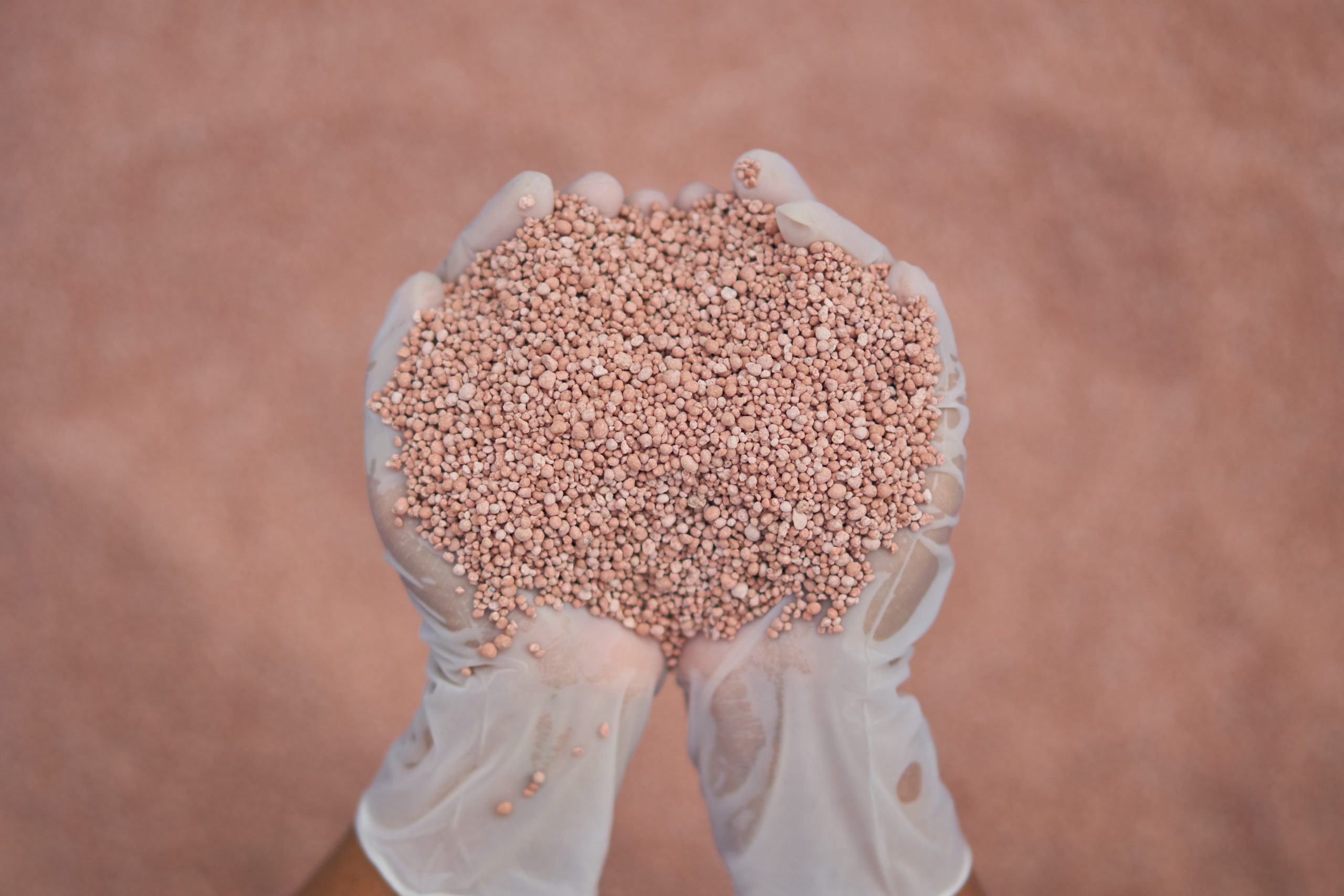 fertilizer phosphorus