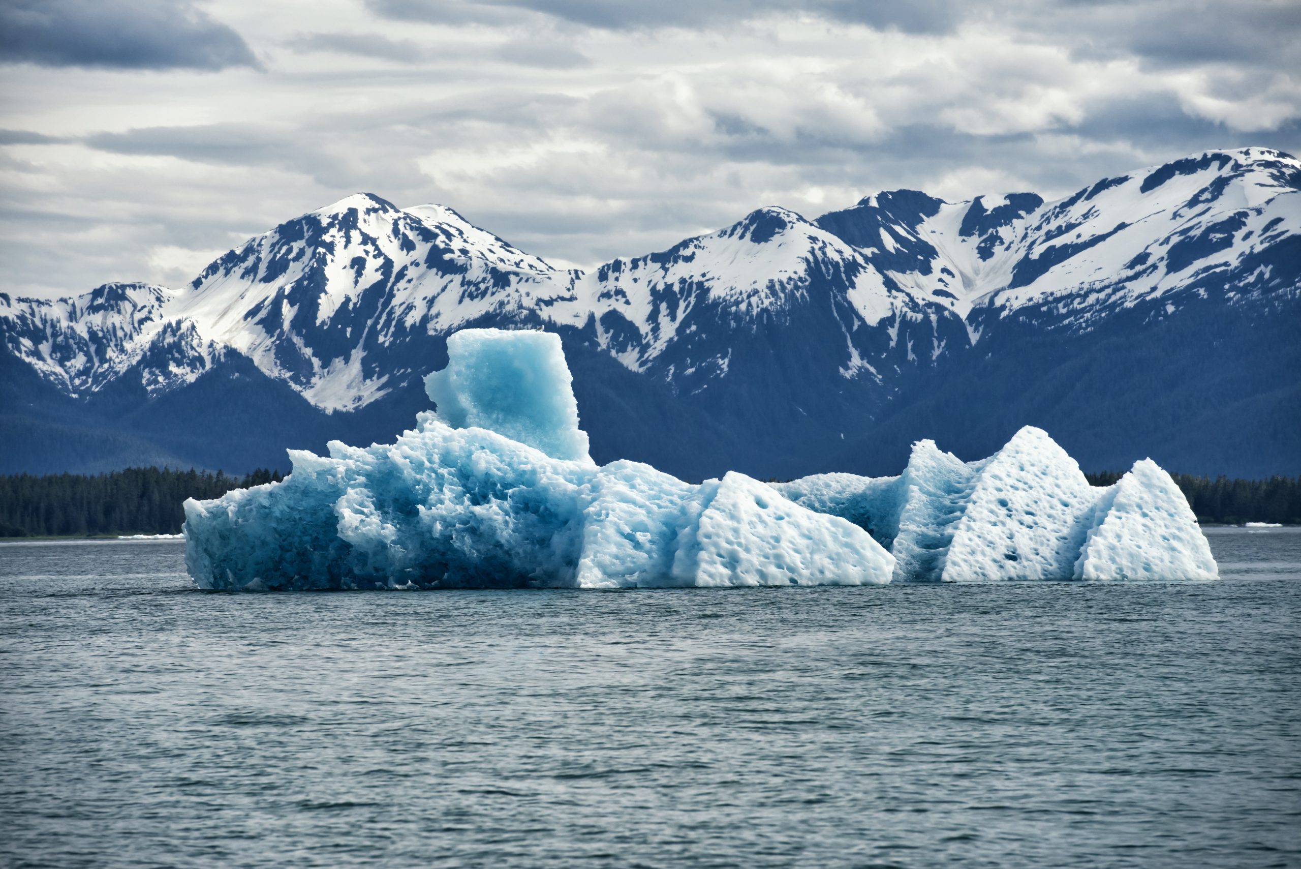  Tracy Arm, Alaska