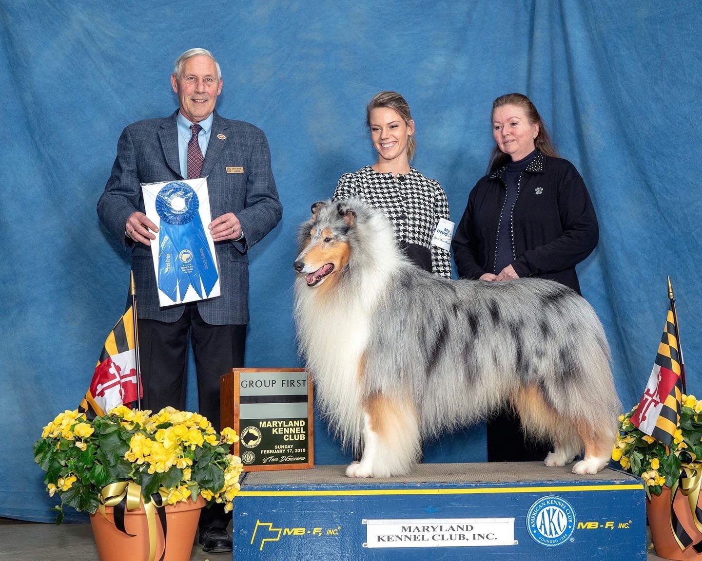 collie maryland kennel club dog show winner