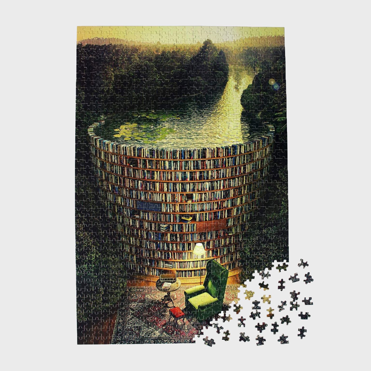 Bookshelf Dam Puzzle 