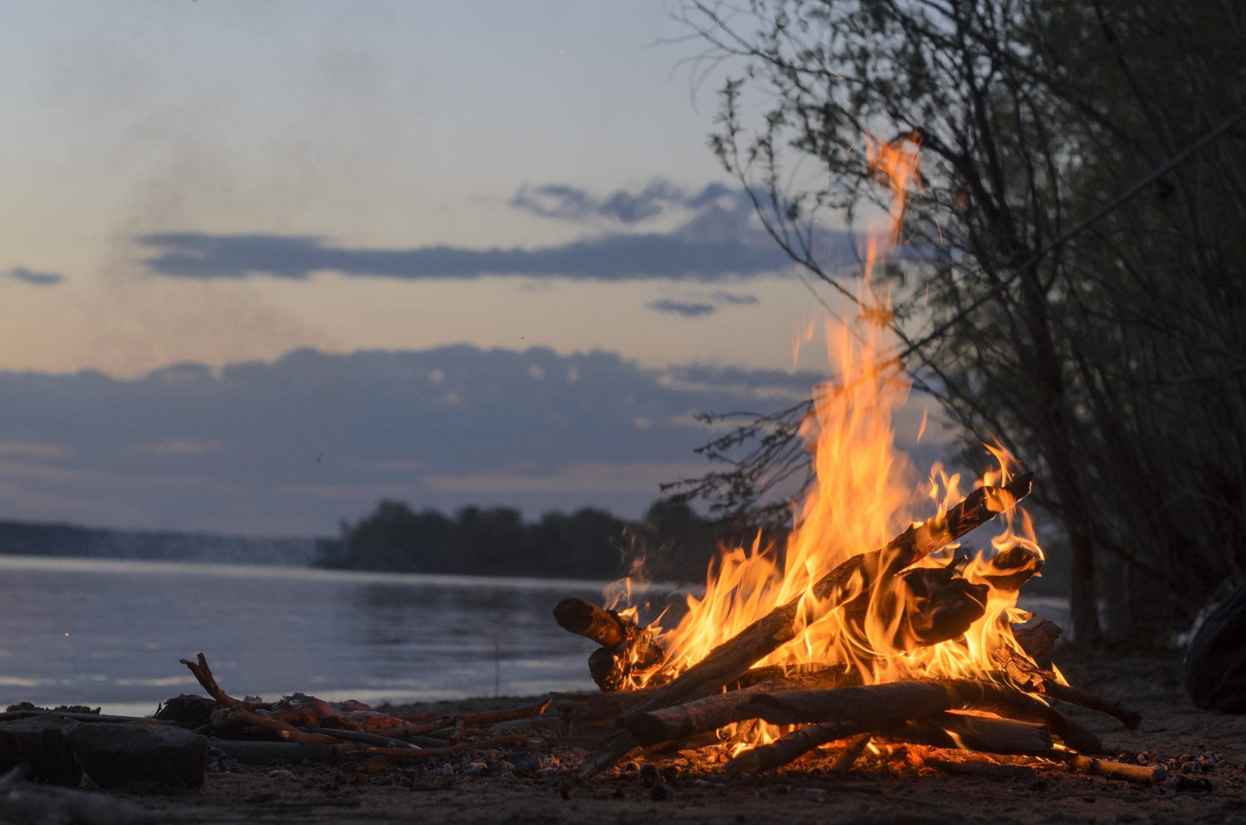 The fire is burning in nature. Russia. Siberia.