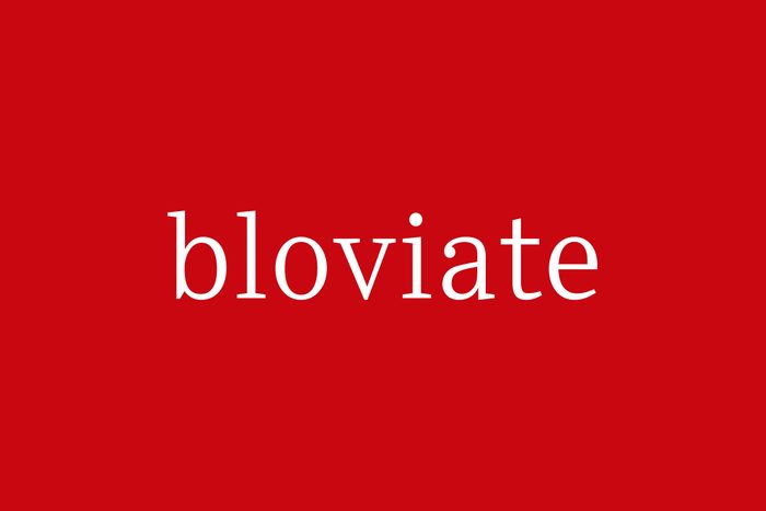 Fancy Word Bloviate