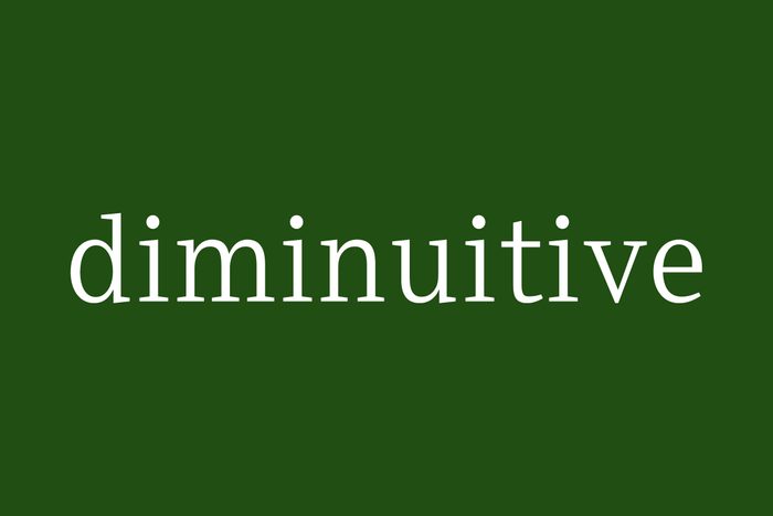 Fancy Word Diminuitive