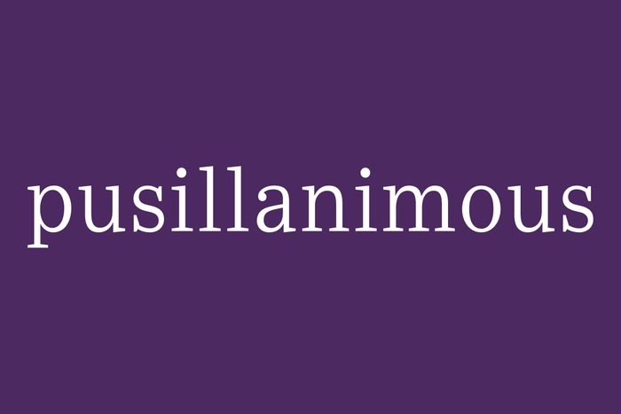 Fancy Word Pusillanimous