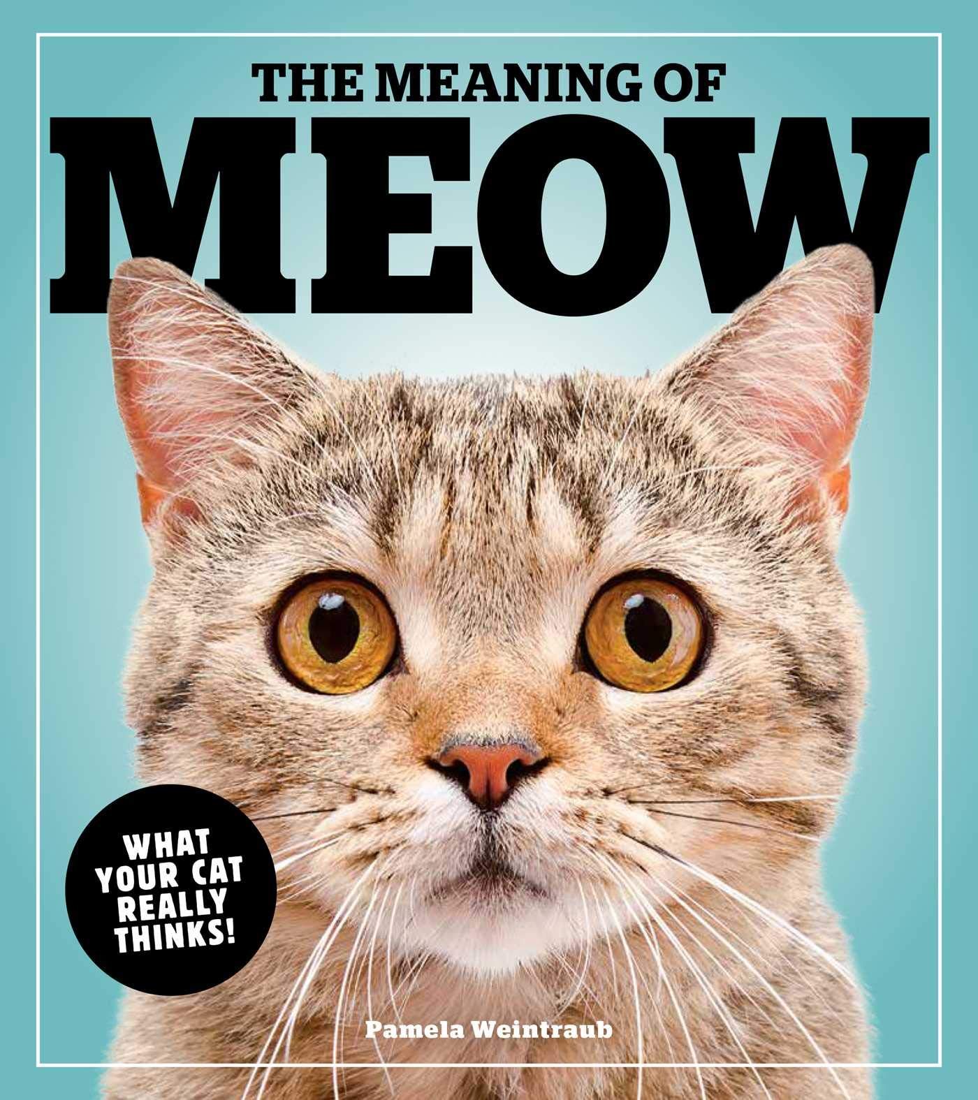 the meaning of meow cat book